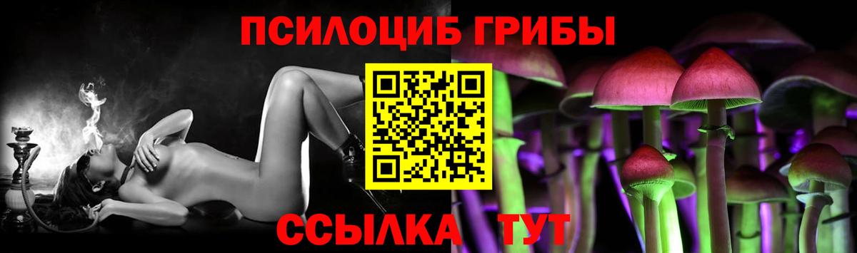 Псилоцибиновые грибы GOLDEN TEACHER  Псилоцибиновые грибы Magic Shrooms  Азнакаево  Вход с VPN 
